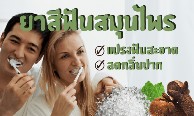 10 ยาสีฟันสมุนไพร แปรงฟันสะอาด ลดกลิ่นปาก ยี่ห้อไหนดี 2565