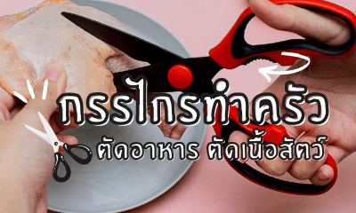 แนะนำ 10 กรรไกรทําครัว ตัดอาหาร ตัดเนื้อ วัสดุแข็งแรง ทนทาน ยี่ห้อไหนดี 2022