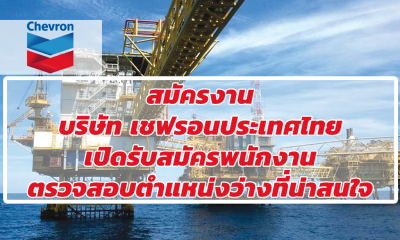 สมัครงาน บริษัท เชฟรอนประเทศไทย เปิดรับสมัครพนักงาน ตรวจสอบตำแหน่งว่างที่น่าสนใจ